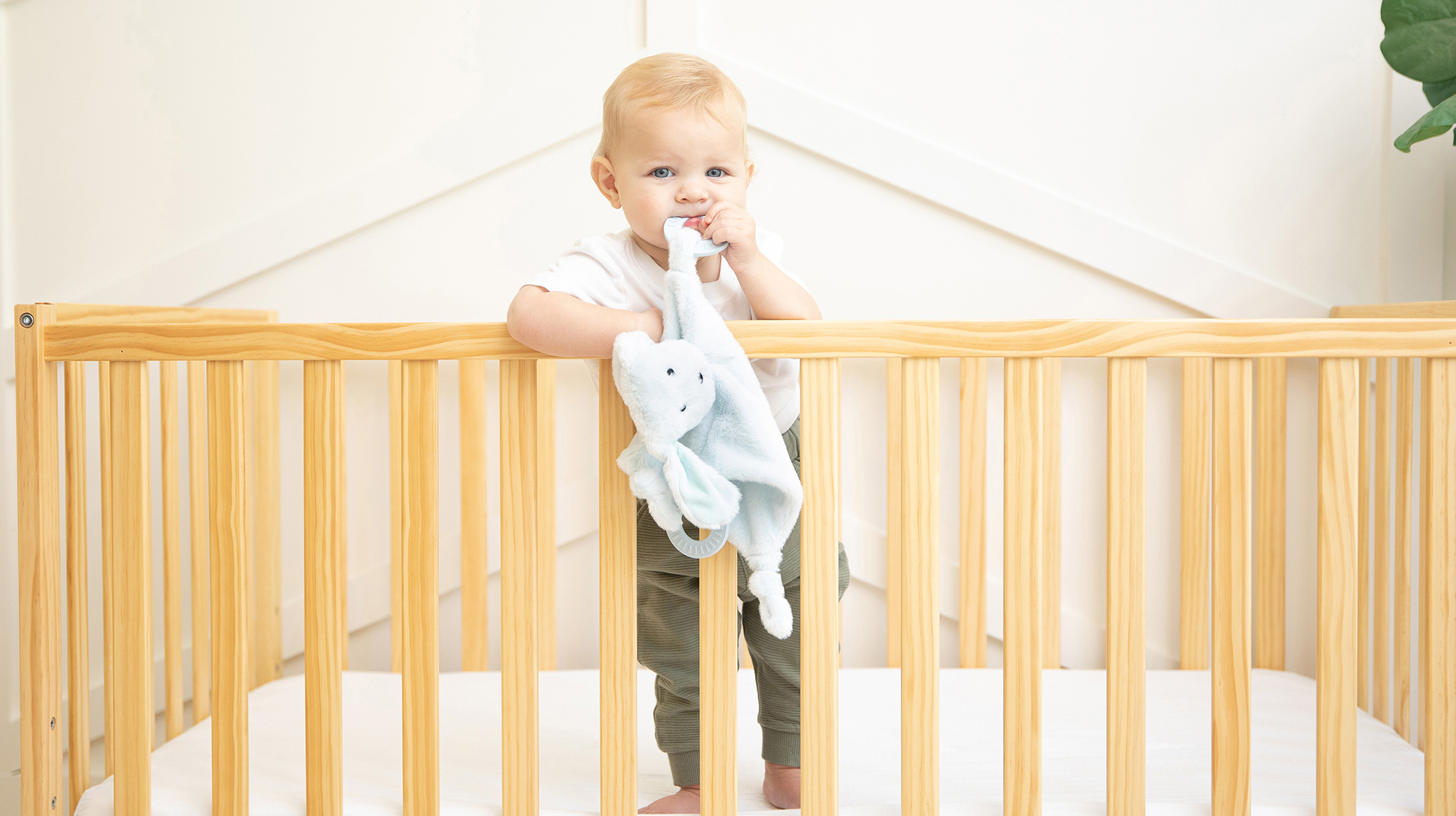 ティーザー バディ img1