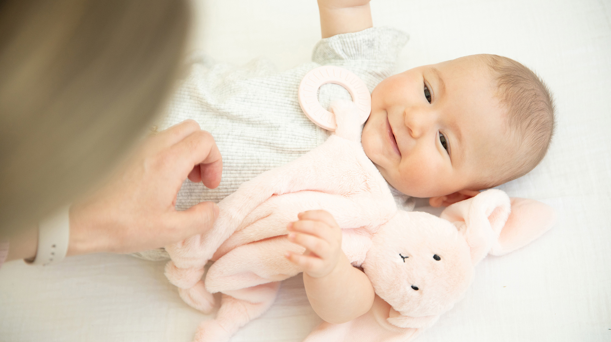 ティーザー バディ img2